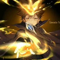 Sawada Tsunayoshi