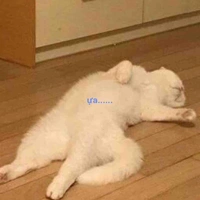 Tác giả đẹp zai