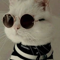 tác giả cute