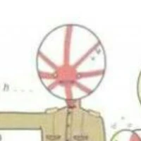 J.E