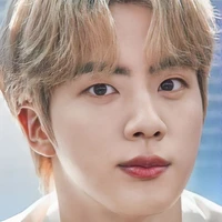 seok jin(anh trai y)