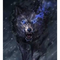 hệ thống tiểu lang