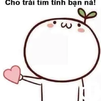 y/n+Nam