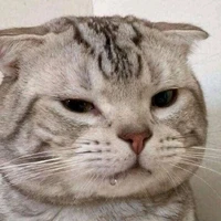 Thiên Trúc