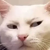 Tác Giả Ắk Wỷ Đáng Yêu Hiền Hộu Xink Xấn