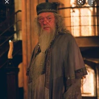 Albus Dumbledore