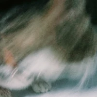 ??