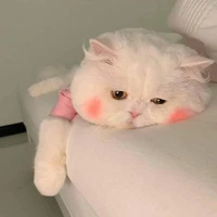 Tác giả cute phô mai que