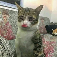 đa nhân vật:))