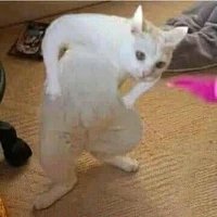 Tạ Diệp trước khi xuyên