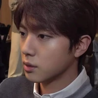 BTS Jin