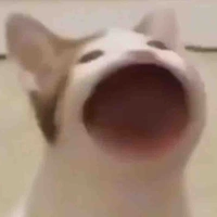 bác tài xế