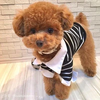 Lulou ( Cún của Lilou )