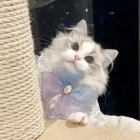 Nyi ( Mèo của Nie )