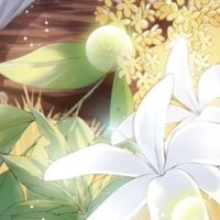 cân mọi loại nhân vật