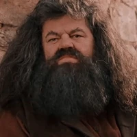 Rubeus Hagrid