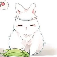 Đại Bạch - hệ thống