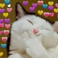 all