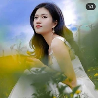 Lâm Vỹ Dạ