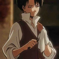 Levi