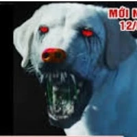 chotrangmuido