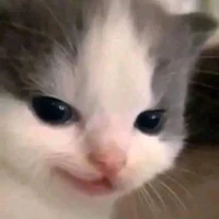 All