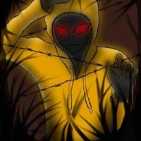 Hoddie 