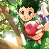 Gon Freecss