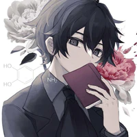 Noir Yohimitsu