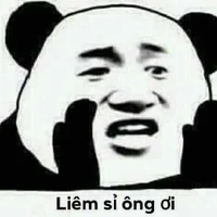 Coan tác giả