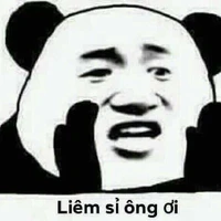 Coan tác giả
