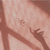 nàng, Jen, Kook, Joy, Min