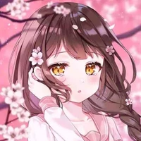 Y/N