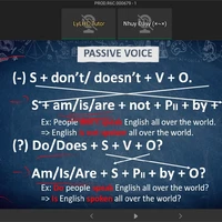 tổng hợp nv