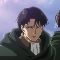 Levi