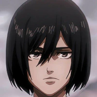 Mikasa