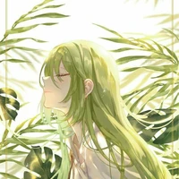 Hệ thống 9709( Celena)