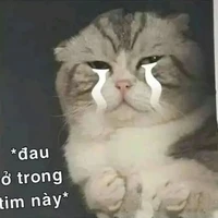 hehe