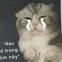 hehe