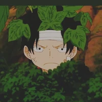 Portgas D. Ace