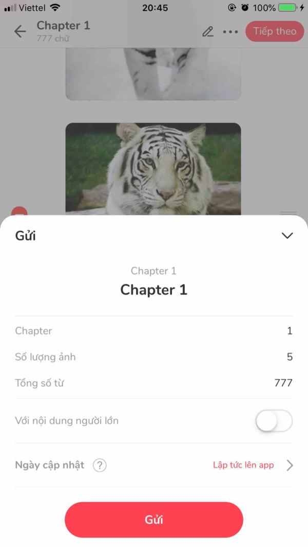NovelToon