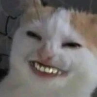 Pé tró hay ẽ trước cửa nhà Y/n :)