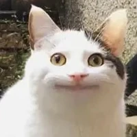 Ai đó sẽ biết sớm thôi :)
