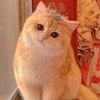 Tg cute hột me😘