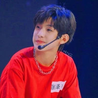 Trương Trạch Vũ