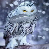 Snowing