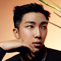 Kim Namjoon - papa anh