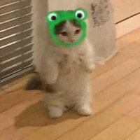 Pà tác giả đâyy nè=))