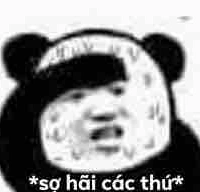 Tác giả 
