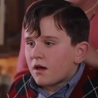 dudley dursley